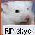 Static pixelated image of a white animal face with dark eyes and mouth, overlaid by text reading "RIP skye" on a white banner at the bottom.