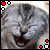 A 50x50 pixel animated buddy icon featuring a gray tabby cat with closed eyes and an open mouth, displayed as two sequential frames in a contact sheet layout showing slight motion differences.