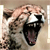Animals icons for AIM, MSN, MySpace and Yahoo
