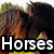 A four- of horse images with overlaid text: 'Horses' top-left, 'For' top-right, and 'Eva' bottom-left