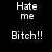 Black background with white pixelated text arranged in two , alternating between 'Hate me' and 'Bitch!!' across four