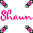 Pixelated graphic with pink and black text reading "Shawn" in two styles, surrounded by repeating geometric patterns of interlocking squares.
