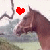 A horse's head in profile against a blurred landscape, with animated heart and shape icons changing color and position above it.