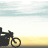 Animated contact sheet of motorcycle silhouettes in motion across a beach background with "WILD HOGS NOW PLAYING!" text at bottom left.
