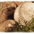 A pixelated image of a hand holding a softball with yellow text on blue background reading "Softball is life... but without there would be no pitchers... NO game!!!!".