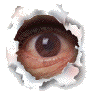 Three circular torn-paper frames show an eye opening, closing, and reopening against a gray background.