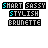 Pixelated icon set with 'SHORT SASSY' text in cyan/pink/magenta, 'STYLISH' in black, and 'BRUNETTE' in white on black background; some frames show brown 'BRUNETTE' text.