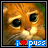 A 48x48 pixel buddy icon featuring a close-up of an orange tabby cat's face with large black eyes, positioned side-by-side in a contact sheet layout showing two frames from an animation.