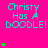Bright pink background with cyan text reading "Christy Has A DOODLE!" repeated across the image, surrounded by green plus signs in various positions.