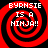Red and black spiral background with white text reading "BYRNSIE IS A NINJA!!" in four identical quadrants.