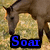 Pixelated image of a horse's head and neck with blue text reading 'Soar' at the bottom.