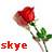 Names icons for AIM, MSN, MySpace and Yahoo