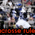 A collage of four distinct sections featuring lacrosse imagery, text overlays, and a skull-and-crossed-lacrosse-sticks symbol.