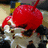 A pixelated image of a red cherry on top of ice cream with white text on a red background.