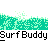 badassbuddy_com-surfbuddy