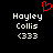 Pixelated text displays 'Hayley Collis' and '(333)' on black background with red heart symbol above left text block.