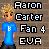 Pixelated image of a character with blonde hair wearing a blue shirt, standing next to text reading 'Aaron Carter Fan 4 EVA' on a brown background.