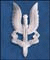 A silver trident-shaped icon on a blue background with the word CHAT overlaid in bold black text.