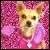 Pixelated image of a light brown dog with dark eyes and nose, wearing pink clothing against a magenta pixelated background.