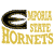 Pixelated graphic featuring a large black stylized 'E' with white negative space, adjacent to yellow text reading 'EMORY STATE HORNETS' in blocky, pixelated lettering.