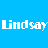 Pixelated text 'Lindsay' on split blue and white background with partial pixel loss in the right section.