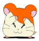A cartoon hamster with orange and white fur, pink ears, and black eyes in multiple expressions on a gray background.