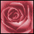 A static pixelated image of a pink rose with layered petals, rendered in a low-resolution style with varying shades of pink and red.