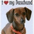 Pixelated image of a brown dog with floppy ears wearing a red collar against a light blue background, with a red heart symbol and gray text elements at the top.