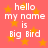 Pixelated text on a pink background with orange stars reads "hello my name is Big Bird" in four identical