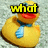 Yellow rubber duck with blue tie, red beak, and wide eyes on textured gray background; text overlays read 'what', 'the', and 'duck?!' across three views.