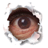 Two side-by-side circular images of a human eye viewed through torn paper holes, one open and one closed.