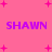 Pink background with purple text 'SHAWN' repeated four times, surrounded by pink plus signs and dots.