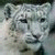 iconator.com - buddy icons - aim icons - away messages - AIM instant messenger