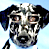 Animated dog icon with two visible frames showing mouth movement and a separate text banner reading CoolBuddy.com on blue background.