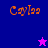 A four- displays the name 'Cayla' in orange pixelated text on blue, purple, pink, and dark purple backgrounds with a star symbol changing color between