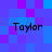 Pixelated text 'Taylor' appears four times on a blue-purple pixel background with no visible animation changes