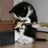 A four-quadrant image with a black-and-white cat in the top-left, 'I Will' text on black background top-right, 'Rock' on green bottom-left, and 'Your World' on red bottom-right.
