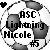 Static pixel art icon with grayscale background and black text reading "ASC Lightning Nicole #5" surrounded by abstract shapes.