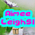 A pixelated image shows a character holding two signs: one with 'Aimee LeighSl' text and another with '=)' emoticon, against a green background.