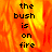 A static image shows the text 'the bush is on fire' over a pixelated orange and yellow flame background with no visible animation.
