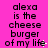 A static image with a bright pink background displays the text "alexa is the cheese burger of my life" in black pixelated font, repeated three times horizontally and three times vertically.