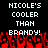 Pixelated text reads "NICOLE'S COOLER THAN BRANDY!" over red pixelated flames on a black background.
