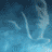 A 3x2 contact sheet of six animated frames showing a blue-toned phoenix rising from flames with the text "Harry Potter and the Order of the Phoenix" in stylized fonts.