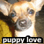 Pixelated image of a light-colored dog with blue eyes and a white chest, wearing a yellow garment against a blurred background.