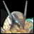 Pixelated image of a mechanical creature with two antennae on a black background, next to stylized text reading "AnimeIM" and "com".