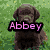 six pixelated images with text overlays: a brown dog, colorful stars, a white dog, pink flowers, a sleeping puppy, and a rainbow