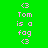 Green background with pink text reading "Tom is a fog" and repeated '<3' symbols, featuring blue highlight bars over different lines in each frame.