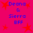 A bright pink background with red star shapes and blue text reading "Deana & Sierra BFF" in four identical quadrants.