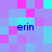 Pixelated of cyan, purple, and pink squares with four instances of the text 'erin' in blue lowercase letters scattered across the image
