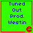 Green square with red border contains blue text 'Tuned Out Prod. Westin' and red 'e' symbol; four identical